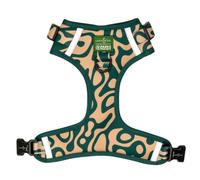 Lucy & Co. x Parks Project Geyser No-Pull Dog Harness, Adjustable Front Clip Harness with Comfort Padding, X-Small
