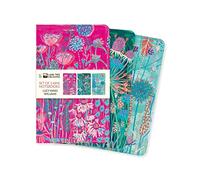 Lucy Innes Williams Set of 3 Mini Notebooks (Mini Notebook Collections)