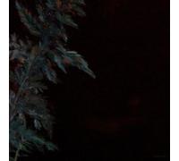 LUCY ROLEFF/LEHMANN B SMITH: DARK GREEN - LP vinyl BRAND NEW