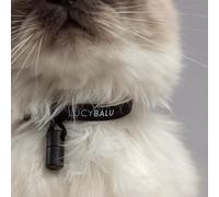 LucyBalu Premium Cat Collar with Name Capsule, Tear-Resistant Nylon Collar, Cat Collar with Safety Clasp, Capsule Pendant for Contact Data, Size Adjustable, Black