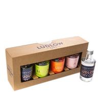 Ludlow Gin Miniature Selection Pack 4x5cl