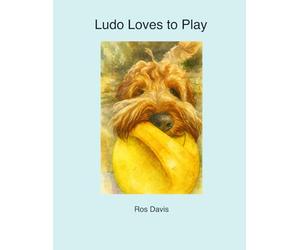 Ludo Loves to Play