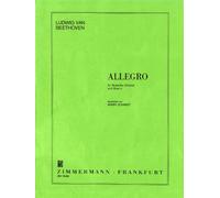 Ludwig van Beethoven-Allegro-Viola [Violin] and Guitar