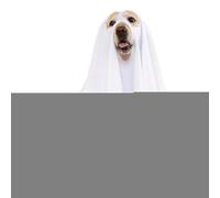 Lueear Dog Ghost Costume,Ghost Costumes for Dogs Cats | Pet Supplies Clothes Spooky Outfit for Cats Walk Celebrations Puppy Kitten Outdoor Party