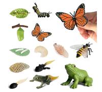LUFEIS Insect Life Cycle Toys, 13Pcs Insect Figurines Life Cycle of Butterfly, Bee & Frog, Preschool Learning Insects Growth Model, Realistic Animal Figures Early Educational Toys for Kids