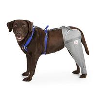 LufeLux Dog Leg Sleeve for Stop Licking & Post-Surgery Recovery | Protects Injured Real Legs from Excessive Licking & Scratching | Cone Alternative with Breathable Fabric | Easy to Use (Grey, Medium)