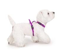 LufeLux Non Restrictive Dog Harness, Easy Walk Freedom No Pull Harness, Keep Balance, Lightweight, Neck Buckle, 2 Clips for Back/Front Clip, Sewn-in Instructions Labels for Easy Use (Purple, Small)