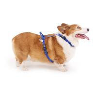 LufeLux Non Restrictive Dog Harness, Easy Walk Freedom No Pull Harness, Keep Balance, Neck Buckle, 2 Leash Clips for Back/Front Clip, Sewn-in Instructions Labels for Easy Put On/Off (Blue, X-Small)