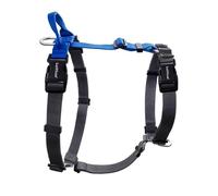 LufeLux Non-Restrictive Dog Harness, Easy Walk Freedom No Pull Harness, Keep Balance, Neck-Buckle, Six Points Adjustment, 2 Leash Clips for Back and Front Clip (Blue/Black, Small)