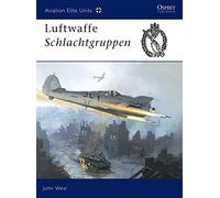 Luftwaffe Schlachtgruppen: No. 13 (Aviation Elite Units)