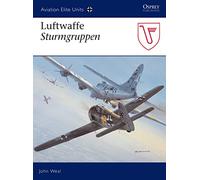 Luftwaffe Sturmgruppen: No.20 (Aviation Elite Units)