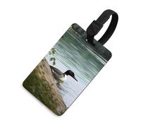 Luggage Tags for Women Men TPU Loon Nature Birds Suitcase Tags with Adjustable Black Strap Clear Id Window Name Id Card Baggage Tag Identifiers for Backpack Cruise Flight Travel Essentials