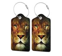 Luggage Tags, Leather Stainless Steel Loop Label Name Tag Luggage Label for Suitcases, Lion