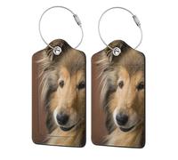 Luggage Tags, Leather Stainless Steel Loop Label Name Tag Luggage Label for Suitcases, Rough Collie Lassie Dogs Big Fluffy Dogs Pets