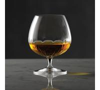 Mixology Brandy Glass Set - 6x 465ml Luigi Bormioli Clear One Size