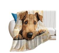 LUIJORGY Lakeland Terrier Throw Blanket 50x60in Warm Super Soft & Plush Flannel Throws for Bed Couch Sofa Office Home, Microfiber Lightweight Cozy Fuzzy Blankets for Hot Sleepers