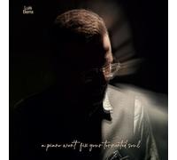 Luis Berra : Luis Berra: A Piano Won't Fix Your Tormented Soul Vinyl 12" Album