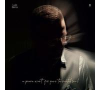 Luis Berra - A piano won't fix your broken soul [VINYL]