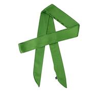 Lujuny Long Thin Chiffon Silk-like Scarf - Skinny Neck Tie Waist Belt for Women Girls, 78.0 inch, Green, 1.9×78 inches