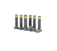 LuK DMF BOLT FITTING KIT - 411002610
