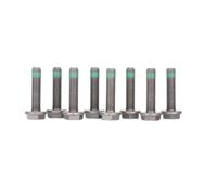 LUK Screw Set - Flywheel - Part No - 411011811