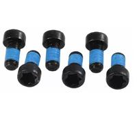 LUK 411012210 Flywheel Screw Set, Blue