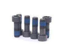 LUK Screw Set - Flywheel - Part No - 411013210