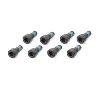 LUK 411015910 Flywheel Screw Set