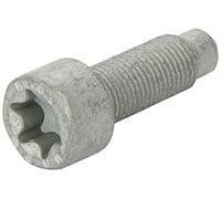 LuK DMF BOLT FITTING KIT - 411014710