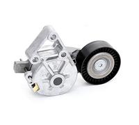 INA Aux Belt Tensioner 534 0132 30 - Tensioner Lever for V-Ribbed Belt