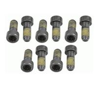 LuK DMF BOLT FITTING KIT - 411016110