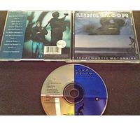 Luka Bloom - The Acoustic Motorbike