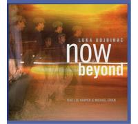 Luka Udjbinac feat. Lee Harper & Michael Erian - Now & Beyond