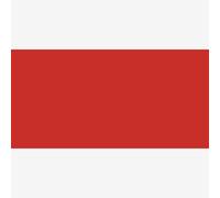 Lukas : Cryl Studio : Acrylic Paint : 250ml : Cadmium Red Light