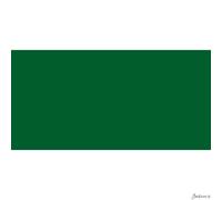 Lukas : Cryl Studio : Acrylic Paint : 500ml : Permanent Green Light