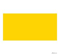 Lukas Studio Oil Paint Linseed Oil 200ml Cadmium Yellow Light Hue Art Painting