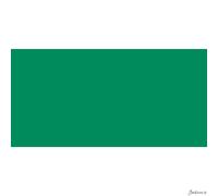 Lukas Studio Oil Paint Linseed Oil 200ml Permanent Green For Artists