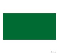 Lukas Studio Oil Paint Linseed Oil 200ml Sap Green Artist Painting
