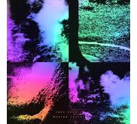 Luke Abbott - Wysing Forest [VINYL]