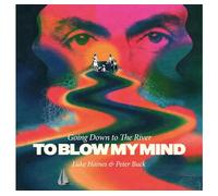 LUKE HAINES AND PETER BUCK - GOING DOWN TO THE RIVER...TO BLOW MY MIND VINYL EDITION [VINYL]