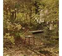 Luke Schneider - For Dancing In Quiet Light [VINYL]