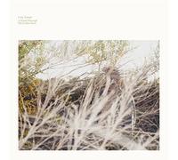 Luke Temple - A Hand Through the Celar Door [VINYL]