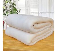 Lukery Blankets for Winter Plain Fleece Throw Super Soft Warm Flannel Blanket Fluffy Cozy Quilts for Bedroom, Couch, Travel, Kids, Bedroom Accessories (70x100cm,White)