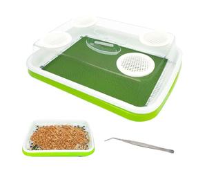 LUKHMELF Mealworm Breeding Kit, Farm & Keeper with Insect Tweezers for Mealworms, Bearded Dragons, Leopard Geckos, Lizards, Frogs, Birds & Chickens
