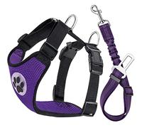 Lukovee Dog Seat Belt for Car, Adjustable Dog Car Harness for Large Medium Small Dogs, Soft Padded & Breathable Mesh Dog Seatbelt with Car Vehicle Connector Strap (Purple,Medium)