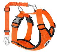 Lukovee Dog Seat Belt for Car, Adjustable Dog Car Harness for Large Medium Small Dogs, Soft Padded & Breathable Mesh Dog Seatbelt with Car Strap and Carabiner (Orange,M)