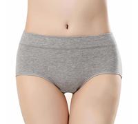 LukyTrge EMF Blocking Women's Underwear Mid Waisted Brief,Anti-Radiation Shield Faraday Briefs Silver Fiber Panties Stretchy, Grey, 3XL