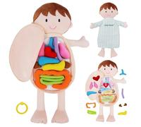 Lullaberry 45cm Little Patient Lucas Plush Anatomy Doll - Soft Educational Toy with Removable Human Organs - Learn Basic Anatomy for Toddlers and Kids