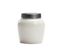 LumaTide Ceramic Pet Keepsake - Silver-Lid Urn · Sealed Sanctuary for Small Pets