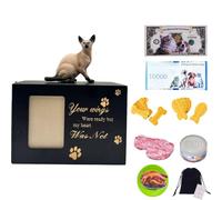 LumaTide Pet Urn for Cats with Photo Frame and Siamese Cat Figurine - Cat Ashes Keepsake Memorial Urn for Small Pets